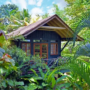 https://sunset-at-the-palms-resort.hotelsnegriljamaica.com